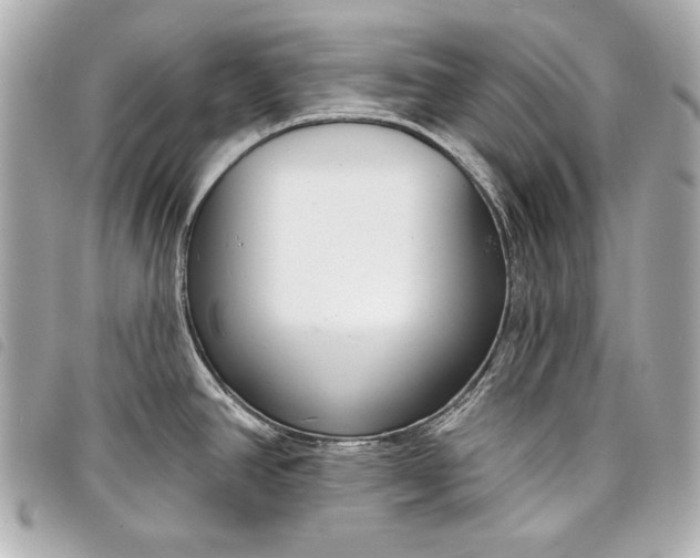 X0000098091390200804181224
