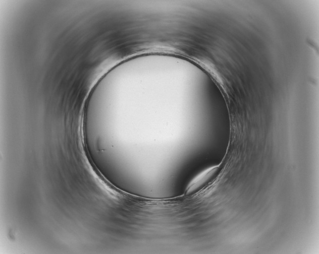 X0000098091391200804181224
