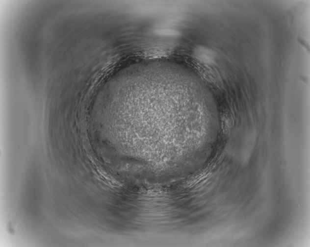 X0000098091393200804181223