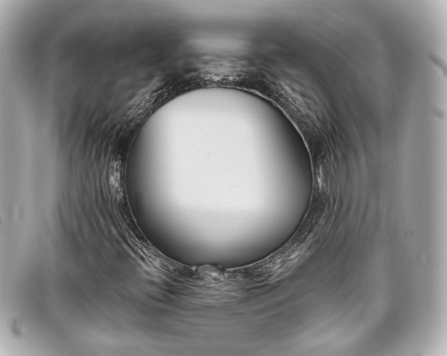 X0000098091396200804181223