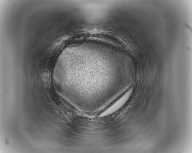 X0000098091398200804181223