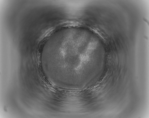 X0000098091399200804181223