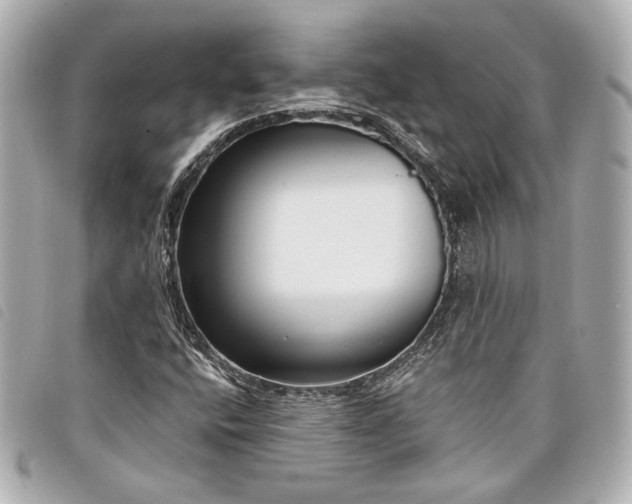 X0000098091400200804181223