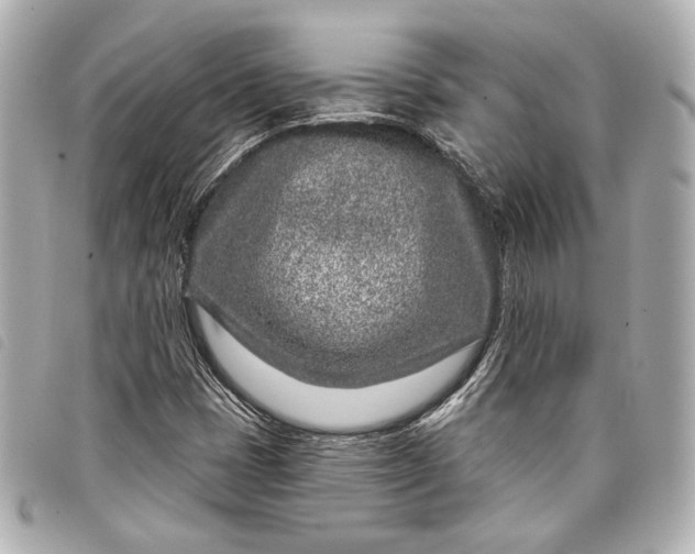 X0000098091401200804181223