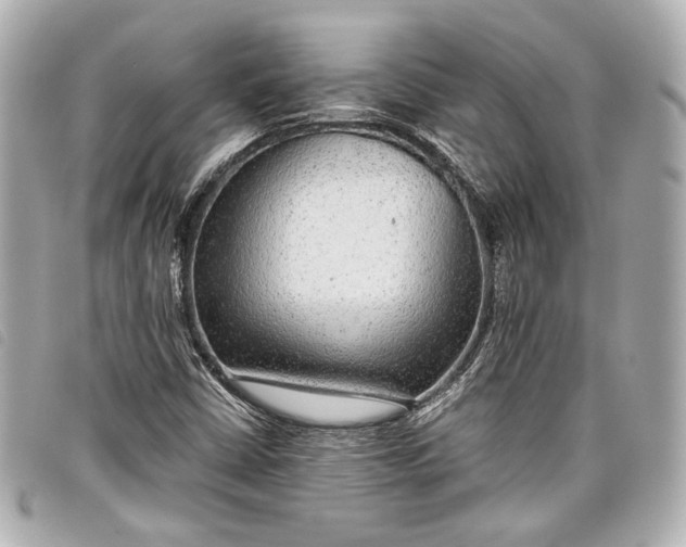 X0000098091402200804181223