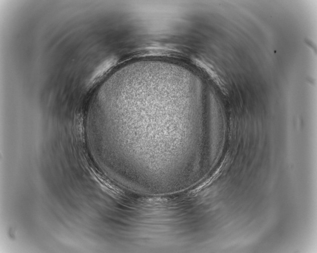 X0000098091403200804181223
