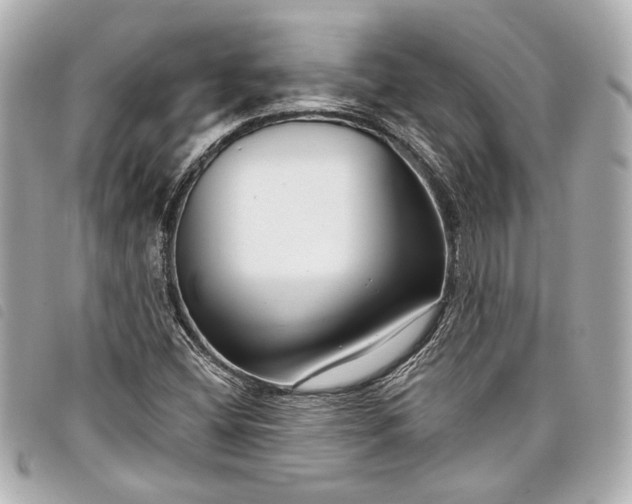 X0000098091404200804181223