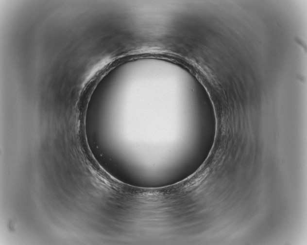 X0000098091406200804181223