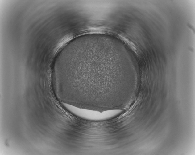 X0000098091411200804181223
