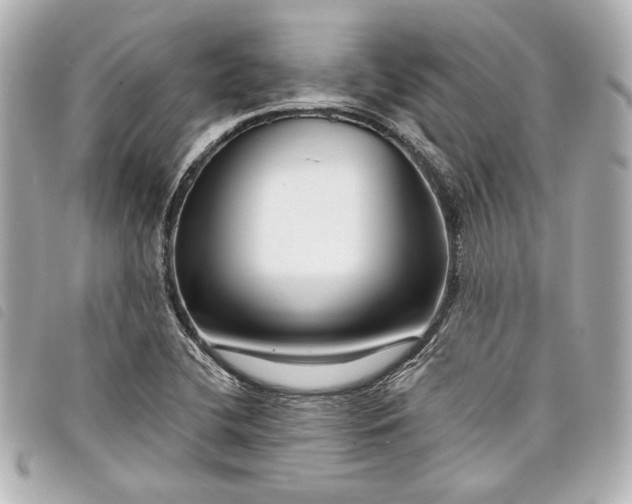 X0000098091412200804181223