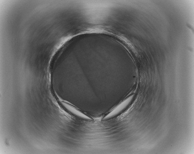 X0000098091414200804181223