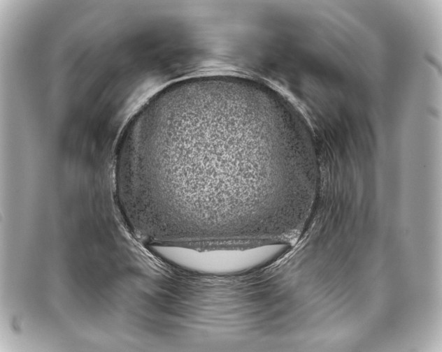 X0000098091415200804181223