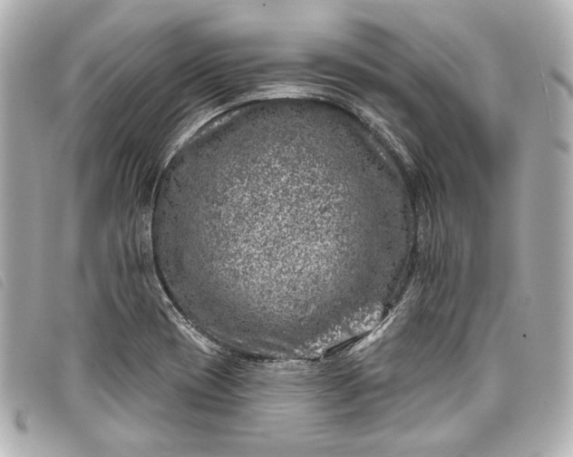 X0000098091417200804181223