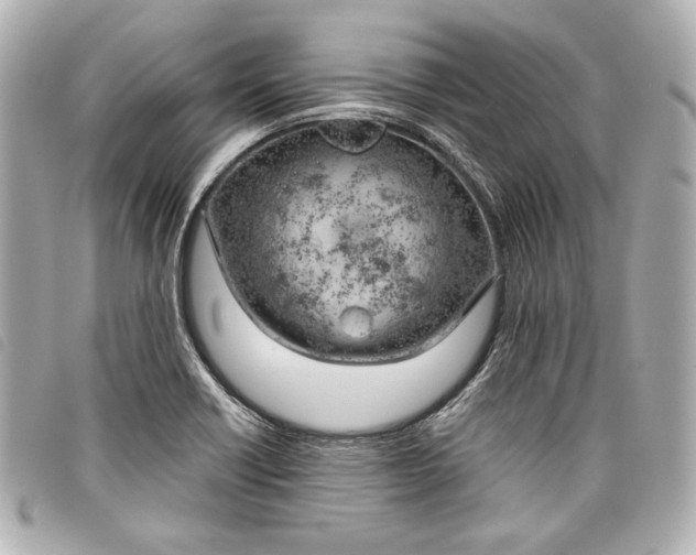 X0000098091418200804181223