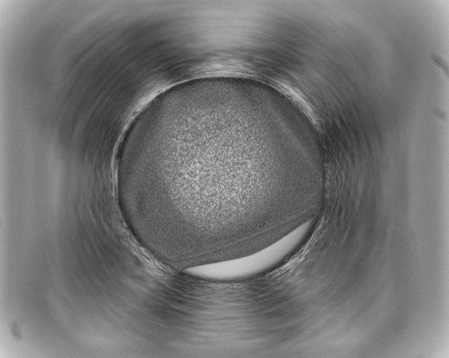 X0000098091419200804181223