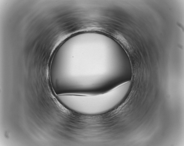 X0000098091420200804181223