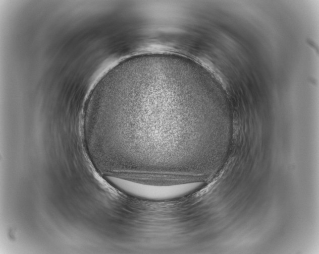 X0000098091421200804181223
