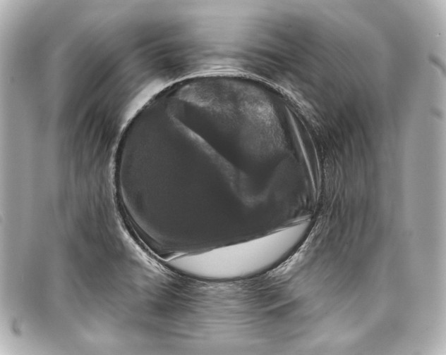 X0000098091422200804181223