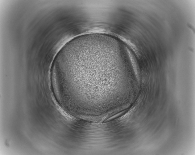 X0000098091423200804181223