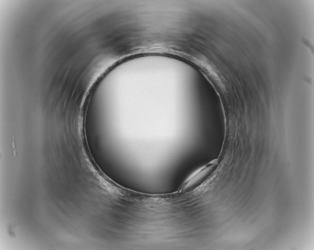 X0000098091424200804181223