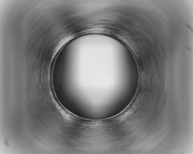 X0000098091426200804181224