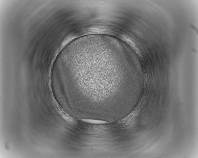 X0000098091427200804181224