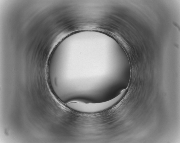 X0000098091432200804181224