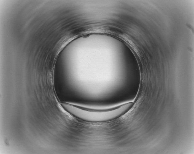 X0000098091433200804181224