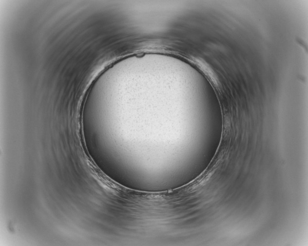 X0000098091435200804181224