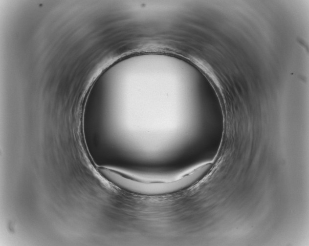 X0000098091437200804181224