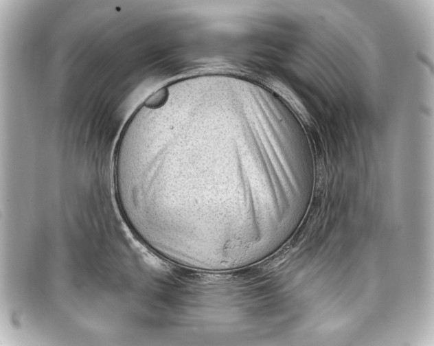 X0000098091439200804181224