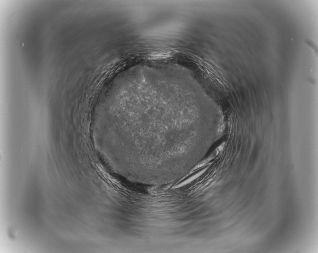 X0000098091441200804181223