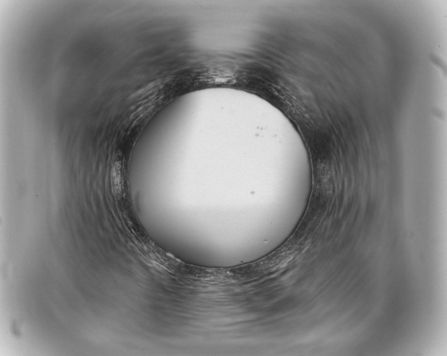 X0000098091442200804181223