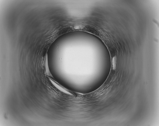 X0000098091443200804181223