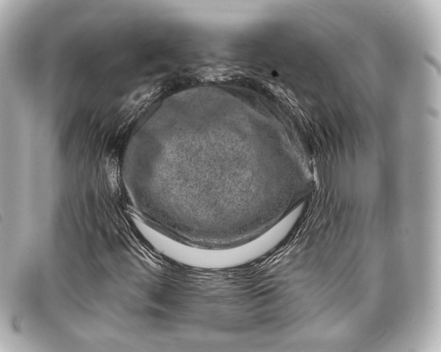 X0000098091444200804181223
