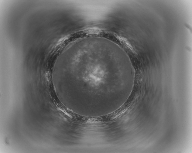 X0000098091445200804181223
