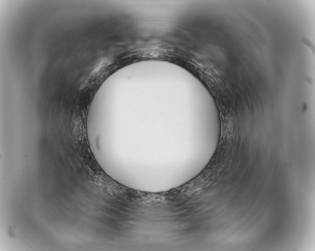 X0000098091446200804181223
