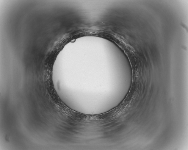 X0000098091447200804181223