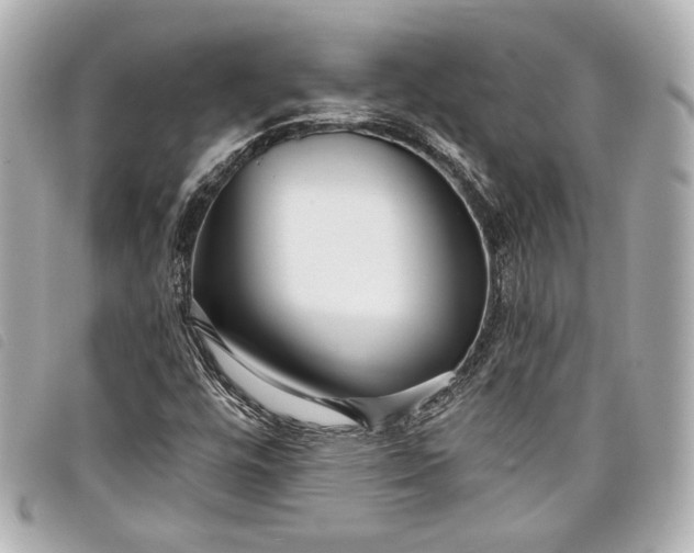 X0000098091448200804181223