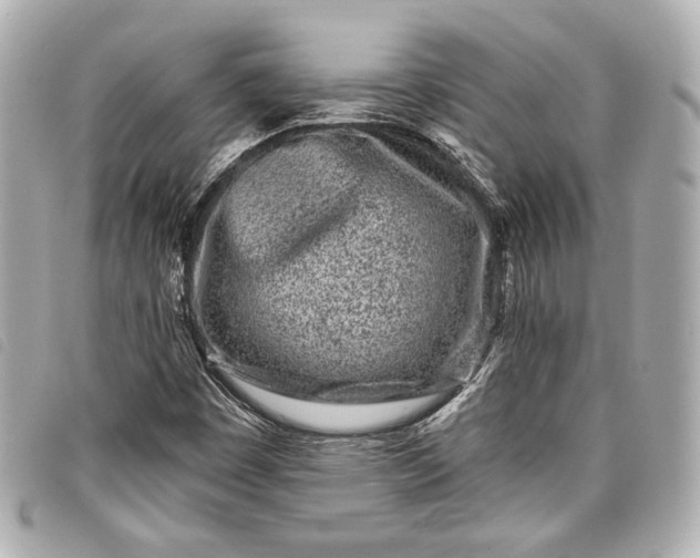 X0000098091449200804181223