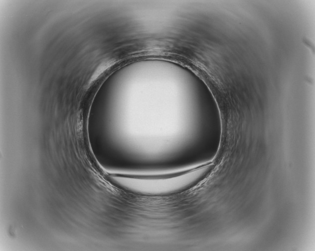 X0000098091450200804181223