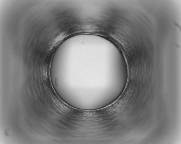 X0000098091451200804181223
