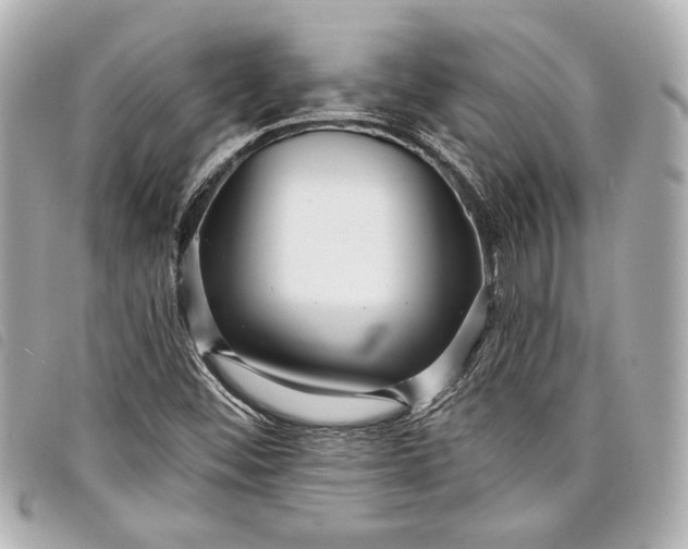 X0000098091452200804181223