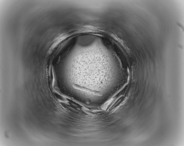 X0000098091453200804181223
