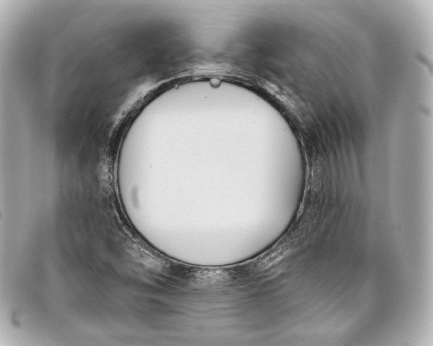 X0000098091454200804181223