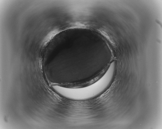 X0000098091455200804181223