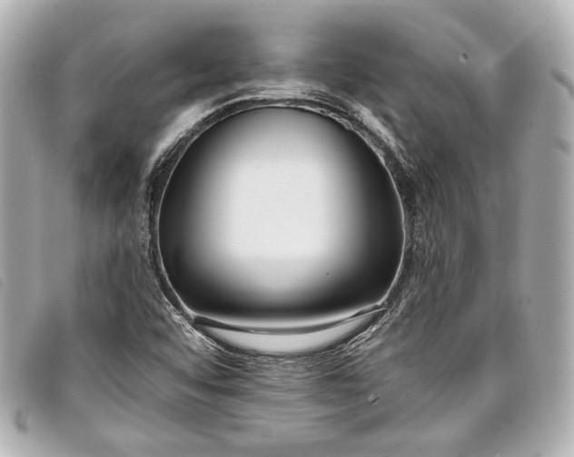 X0000098091456200804181223