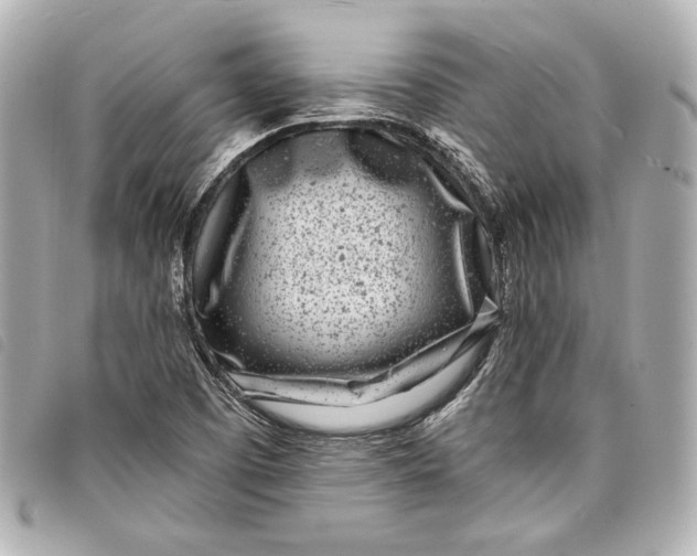 X0000098091457200804181223