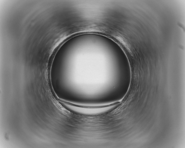 X0000098091460200804181223