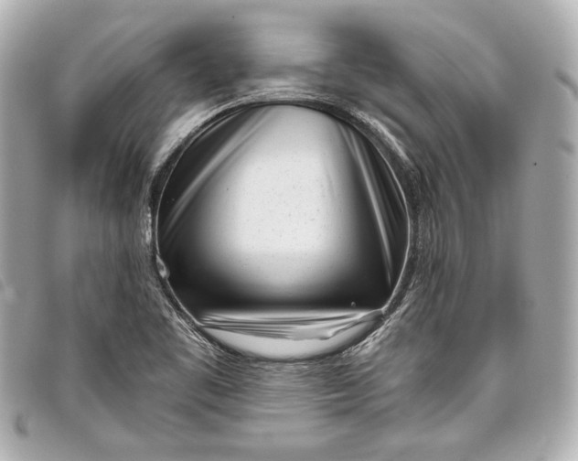X0000098091461200804181223